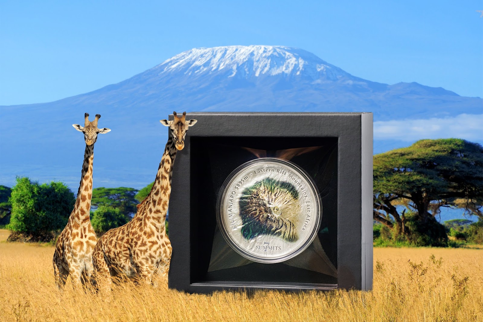 Scaling the Financial Summit The Thrilling Journey of Coin Kilimanjaro